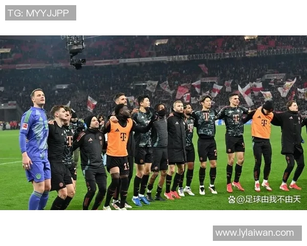 欧冠经典对决拜仁逆转热刺战术解析与精彩瞬间回顾